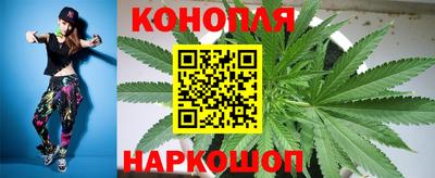 бошки Краснодар