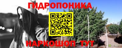 стафф Краснокаменск