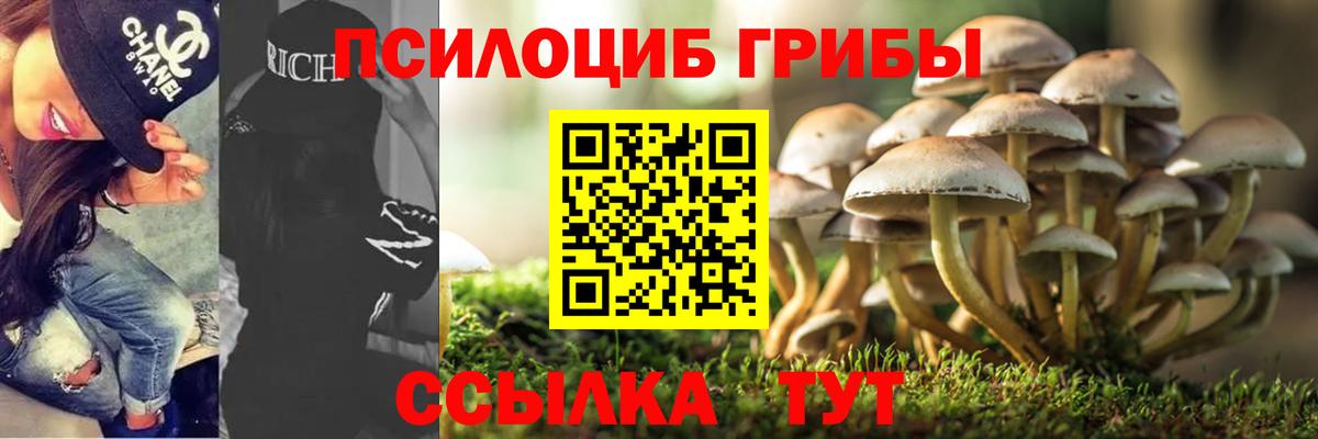 Псилоцибиновые грибы Magic Shrooms Елизово